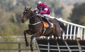 Apple's Jade and Bryan Cooper jump the last to win the AES Champion Four Year Old Hurdle (Grade 1) Punchestown Festival Photo: Patrick McCann 30.04.2016